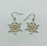 Snowflake Crystal Two-tone wire earrings EM8695-SNG