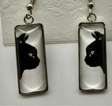 Black Cat Profile
